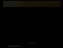 Tablet Screenshot of lindabenzonphotography.com
